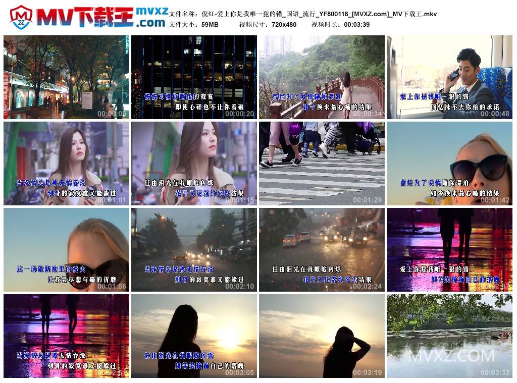 倪红-爱上你是我唯一犯的错_国语_流行_YF800118